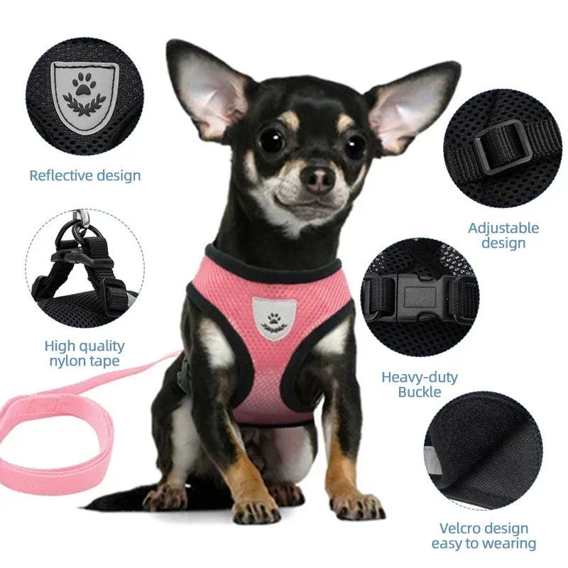SoftStep Mesh Harness & Lead Set for Cats & Small Dogs