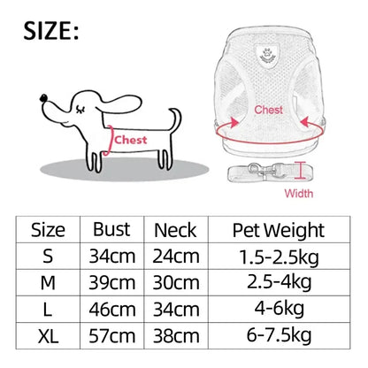 SoftStep Mesh Harness & Lead Set for Cats & Small Dogs