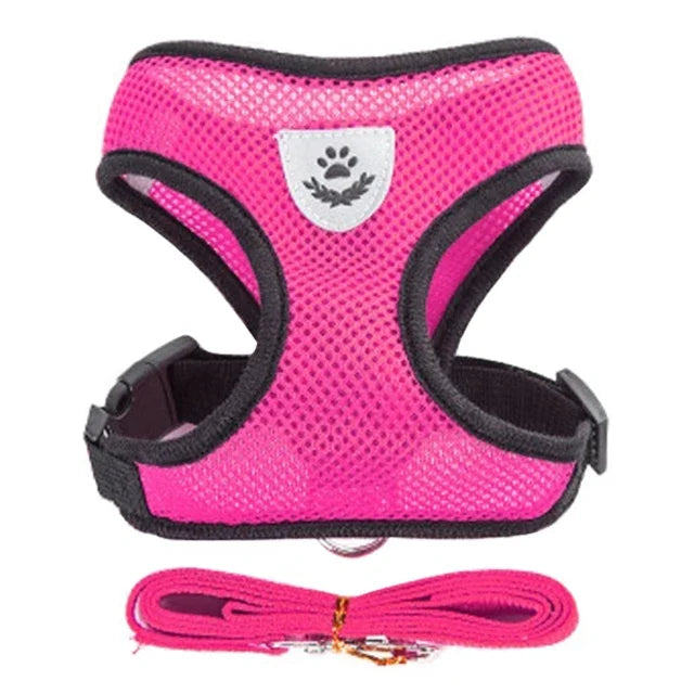 SoftStep Mesh Harness & Lead Set for Cats & Small Dogs