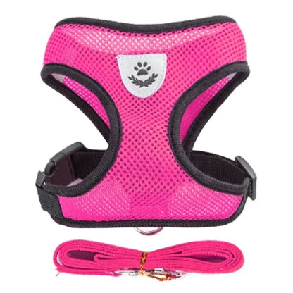 SoftStep Mesh Harness & Lead Set for Cats & Small Dogs