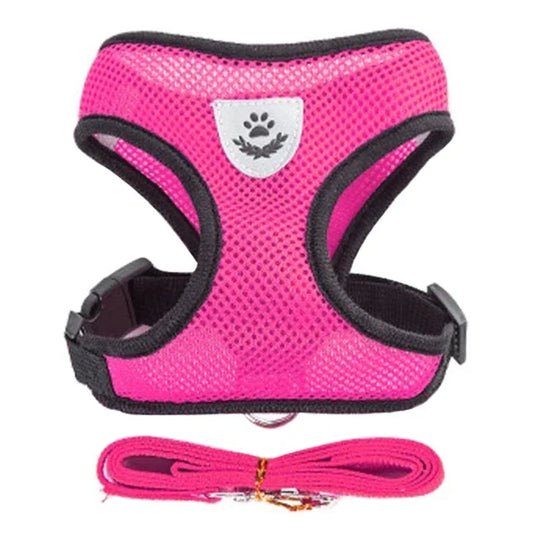 SoftStep Mesh Harness & Lead Set for Cats & Small Dogs
