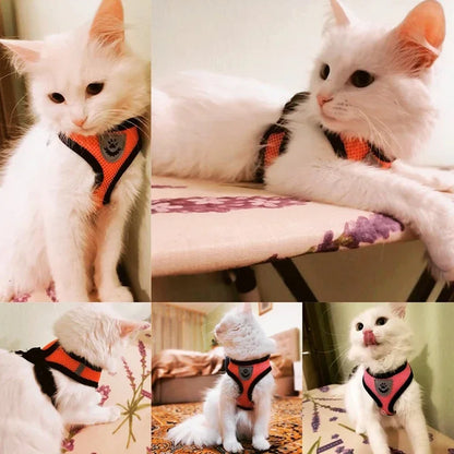 SoftStep Mesh Harness & Lead Set for Cats & Small Dogs