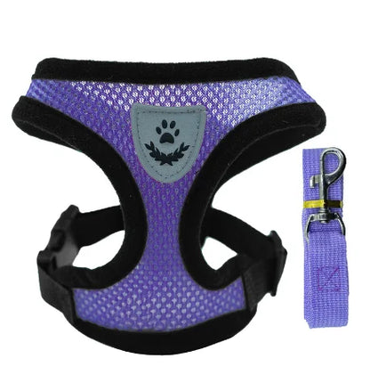SoftStep Mesh Harness & Lead Set for Cats & Small Dogs