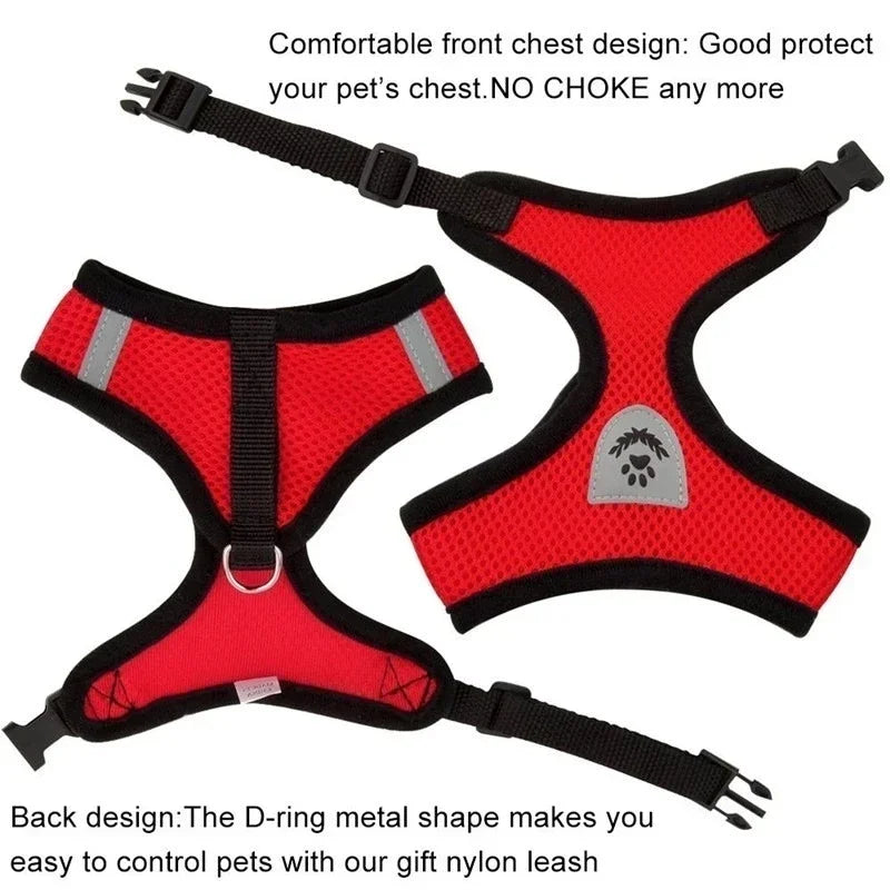 SoftStep Mesh Harness & Lead Set for Cats & Small Dogs