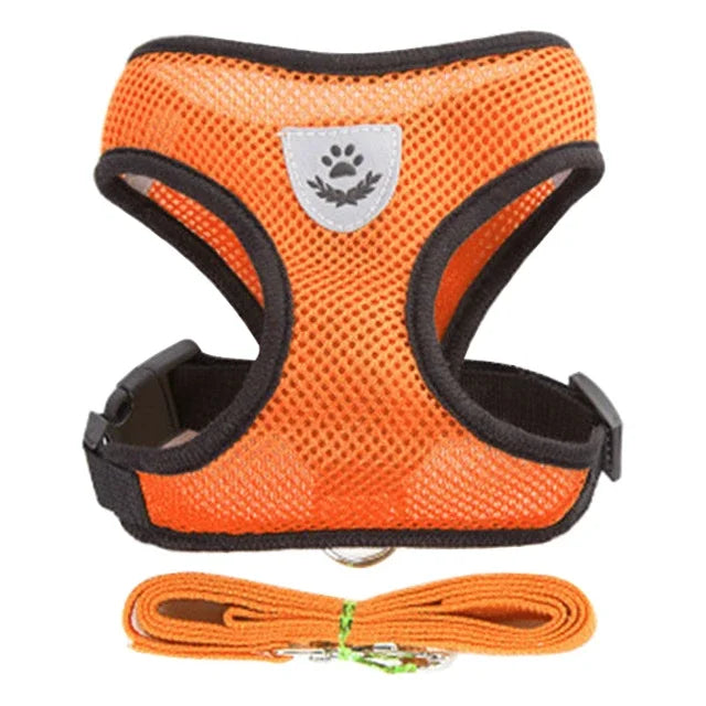 SoftStep Mesh Harness & Lead Set for Cats & Small Dogs