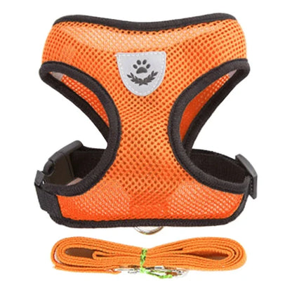 SoftStep Mesh Harness & Lead Set for Cats & Small Dogs