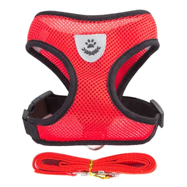 SoftStep Mesh Harness & Lead Set for Cats & Small Dogs