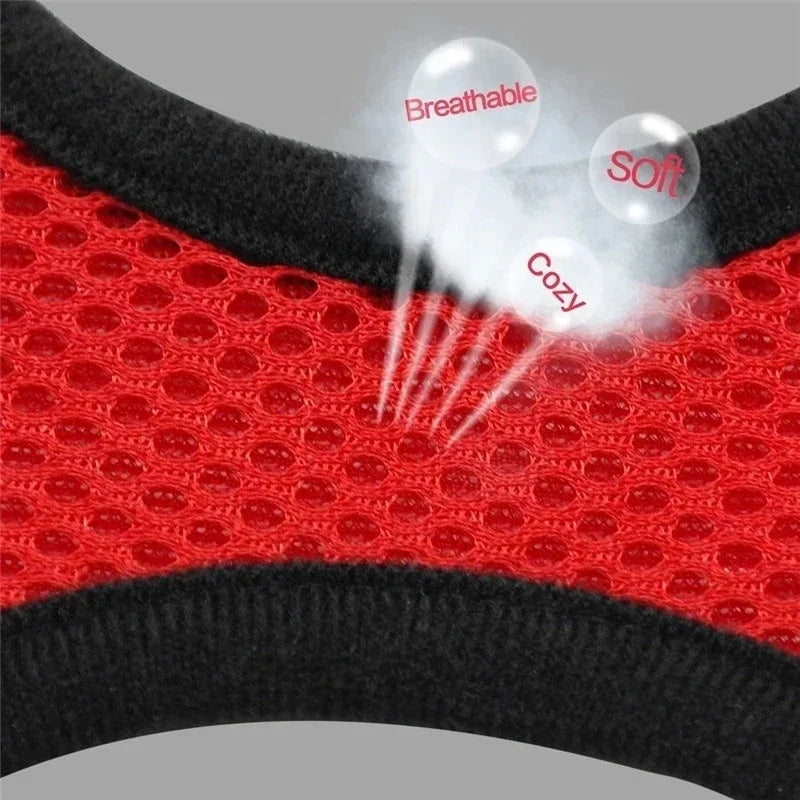 SoftStep Mesh Harness & Lead Set for Cats & Small Dogs