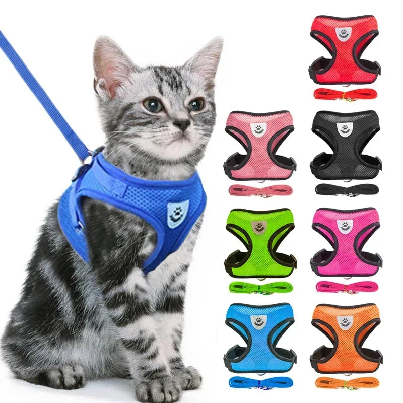 SoftStep Mesh Harness & Lead Set for Cats & Small Dogs