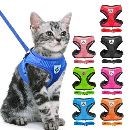 SoftStep Mesh Harness & Lead Set for Cats & Small Dogs