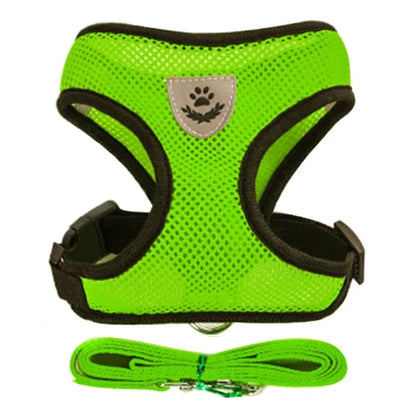 SoftStep Mesh Harness & Lead Set for Cats & Small Dogs