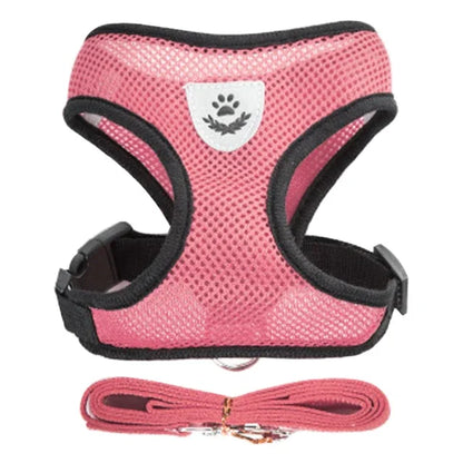 SoftStep Mesh Harness & Lead Set for Cats & Small Dogs