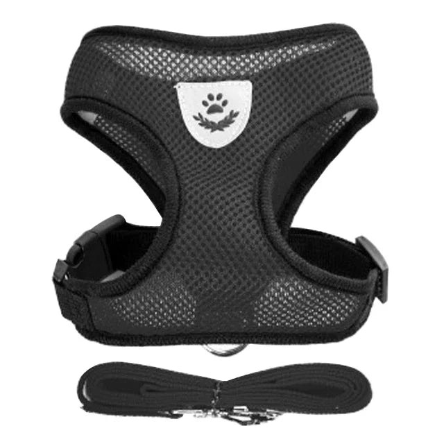 SoftStep Mesh Harness & Lead Set for Cats & Small Dogs